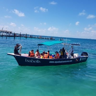 islamujeresdive's profile picture. PADI Resort
Diving,Snorkel,PADI courses on Isla Mujeres🇲🇽
Contact us for Isla Mujeres dives
Check out our website 10%discount for Instagram follower