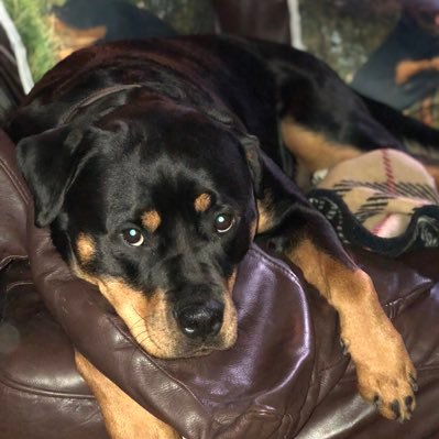 AndyBCV's profile picture. 