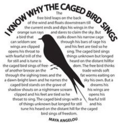 wadzigarwe's profile picture. Living my best lfe