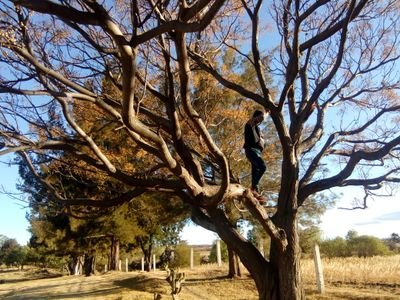 BexGael's profile picture. 