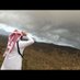 الطومي شمر (@aboaed11) Twitter profile photo الطومي شمر (@aboaed11) Twitter profile photo