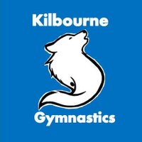 WKHS Gymnastics Team (@wkhsgymnastics) 's Twitter Profile