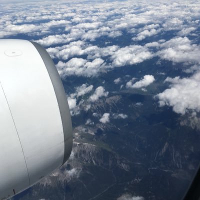 awkoos's profile picture. 