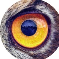 Atavisionary (@atavisionary) 's Twitter Profile Photo Atavisionary (@atavisionary) 's Twitter Profile Photo