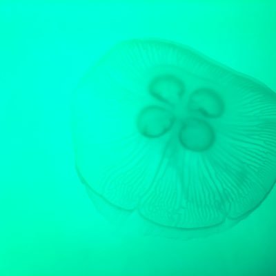 卯月さんのプロフィール画像
