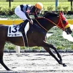 競馬をはじめとしたギャンブルや投資等のアカウントです🐎💰