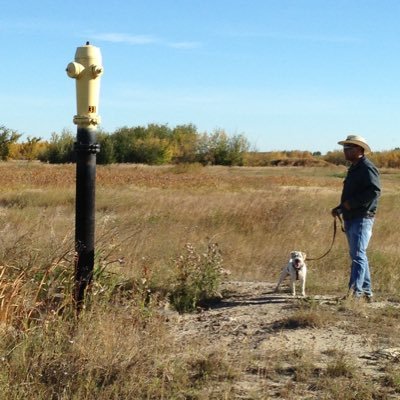 Northern Native on the Prairie