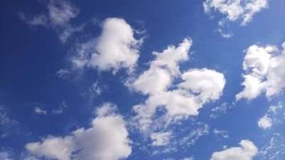 abcdさんのプロフィール画像