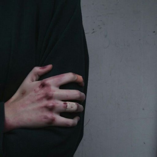 ships_and_roses's profile picture. Hello, welcome home.
