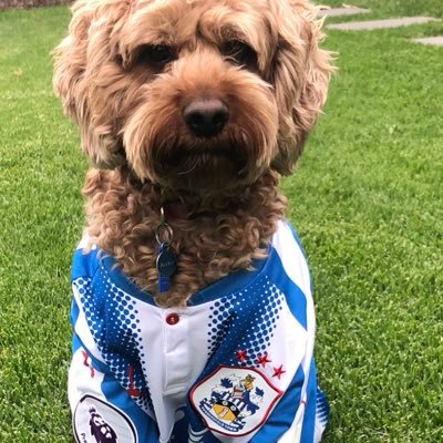 💙cycling, 💙 HTFC, Adelaide 🇦🇺, Born Ossett married, 2 girls Liv 24 charlotte 21 Archie cavoodle 11 works @TAFE Chef Lecturer. lover of Northern football💙👊