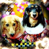 ぷーちゃん (@ls7cmxz8h4yh55o) 's Twitter Profile Photo ぷーちゃん (@ls7cmxz8h4yh55o) 's Twitter Profile Photo