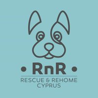Rescue & Rehome Cyprus(@CyprusRehome) 's Twitter Profileg