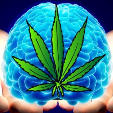 serjbr007's profile picture. ☝️☝️☝️