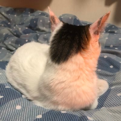 とうすけさんのプロフィール画像