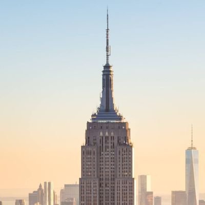 sebihalmagean1's profile picture. MMA Referee