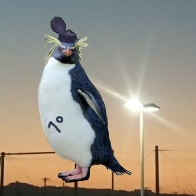 マヨペンギン2号🍙✖︎さんのプロフィール画像