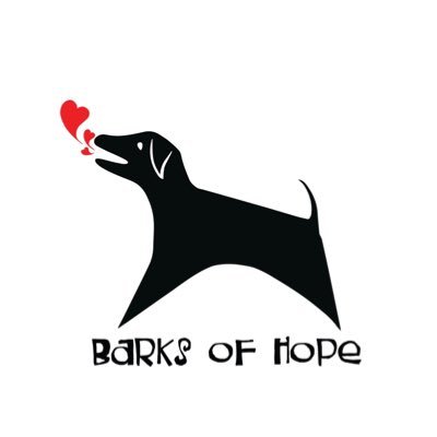 BarksofHope's profile picture. Dog rescue and rehabilitation in Rincon, Puerto Rico 🇵🇷🐕❤️