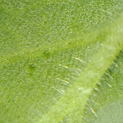 willbur228's profile picture. 