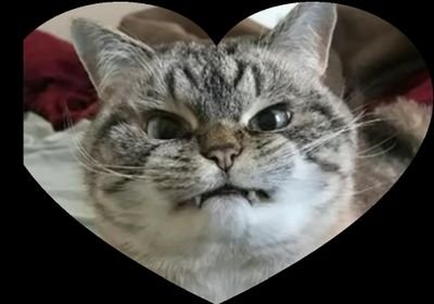 EpecPhoto's profile picture. 