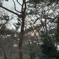 peter lee (@withpeter) 's Twitter Profile