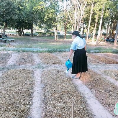 Pairza04's profile picture. 