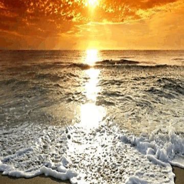 CandiceySun's profile picture. 