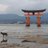 ラカンのアイコン