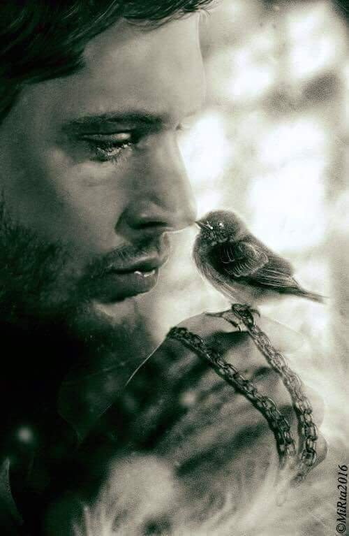 1Impala_67's profile picture. Older brother to #Sam.  Hunter.  I killed Hitler.  Owns a 67 Chevy Impala named Baby.  Oh.... Did I mention I killed Hitler? Owner #SFRP