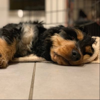 simfuller's profile picture. 