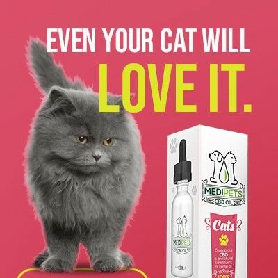 America's most trusted CBD manufacturer of hemp based CBD Oil, CBD vape oil, CBD edibles, CBD gummies, CBD creams, and more. Yes For Your Pets To