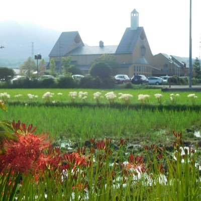 toruchpapapa's profile picture. 和田 通/とるとる農園