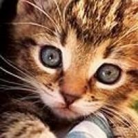 BrokenAss (@ejbrokenass) 's Twitter Profile