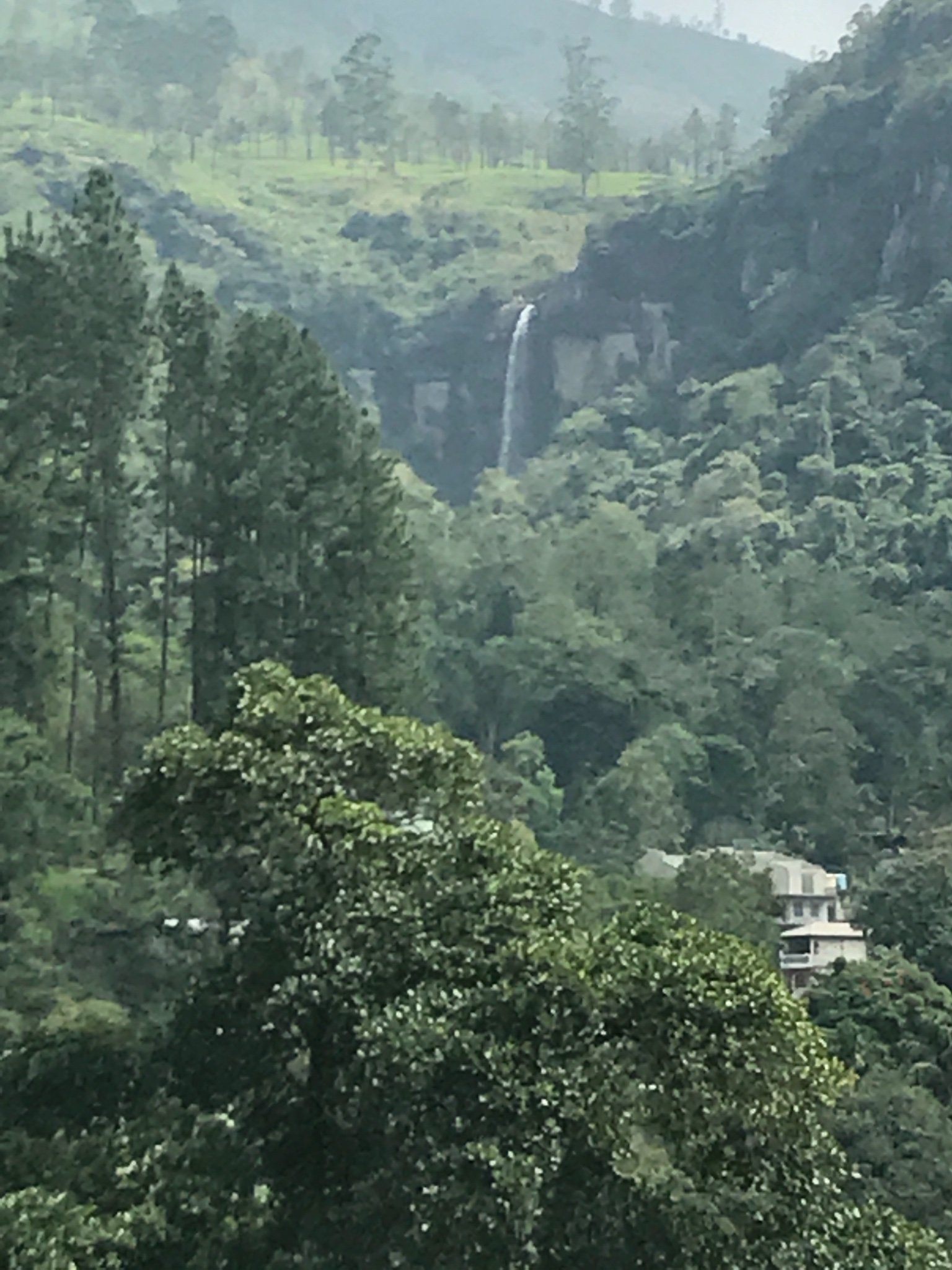 Stright_Path1's profile picture. If you have any questions about #Islam and would like to know their answers, all you have to do is visit https://t.co/ALpMZgkShp and chat with us