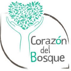 Equipe compagnon composée de Nicolas, Vincent, Pierrine et Louise, en partance pour la Bolivie à l'été 2019, avec l'association Corazon del Bosque