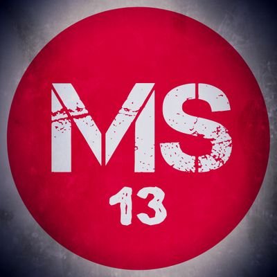 13ms13’s profile image