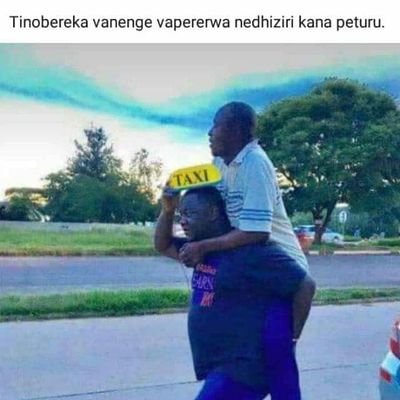 Chipsnevs's profile picture. My life...