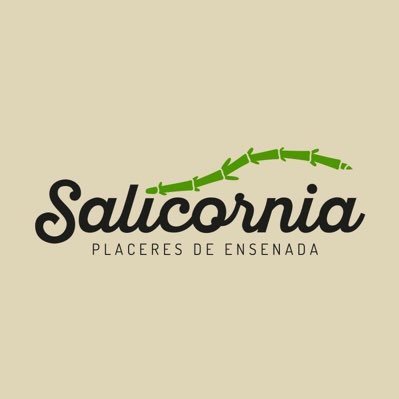 SalicorniaRest Profile Picture