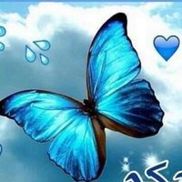 خطابة مسيار (@mfv2bayjmpeult3) Twitter profile photo