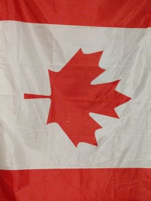 Proud Canadian Patriot 🇨🇦 Nationalist 🇨🇦 Populist 🇨🇦 Right wing Conservative! 🇨🇦  Fort York Upper Canada 1832🇨🇦 PPC 2019 🇨🇦