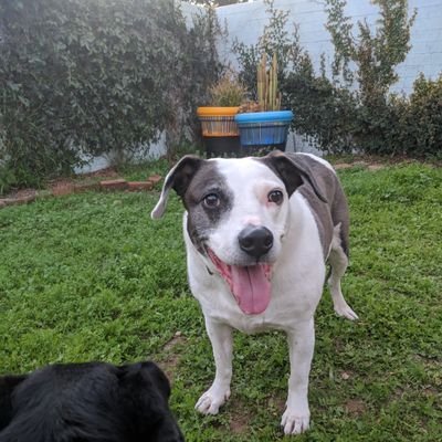 Jones_n_Jones's profile picture. 