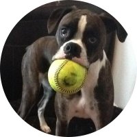 Kortney Caldwell (@coach_kort_cald) 's Twitter Profile Photo Kortney Caldwell (@coach_kort_cald) 's Twitter Profile Photo