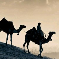 oecoep (@oecoeper) 's Twitter Profile