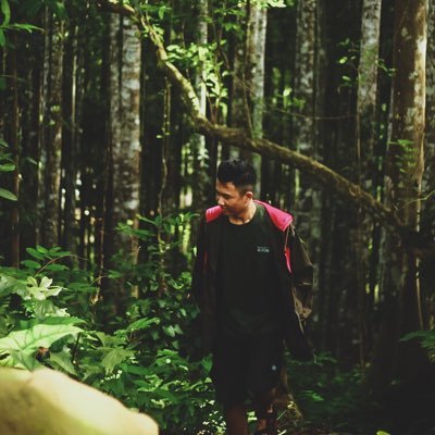wadah bemamai ja