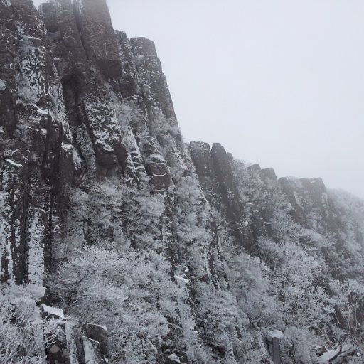 동네산洞內山