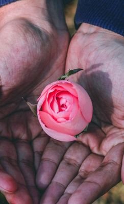 Srijita21197706's profile picture. shopaholic...foodie... indomitable and  sree-fan...@sreesanth