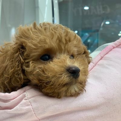 mtaaktis's profile picture. 