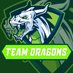 TEAM_DRAGONS_ (@team_dragons_) Twitter profile photo TEAM_DRAGONS_ (@team_dragons_) Twitter profile photo