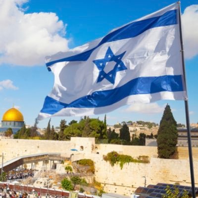 MPRIO76's profile picture. 