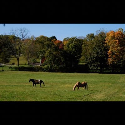 HurleyAgency908's profile picture. Personal & Commercial Insurance 
Home insurance, business insurance, flood, professional liability, farming liability
Call us 908-625-8103