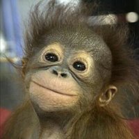 Monkeydoc (@monkeydoc3) 's Twitter Profile